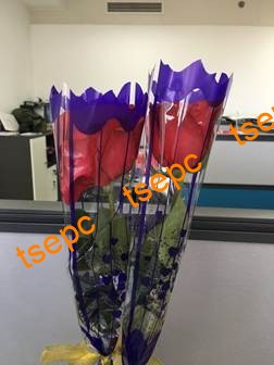 1527044351381907.jpg 三八節(jié).jpg